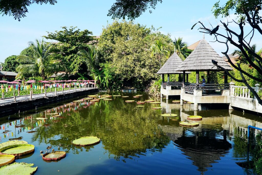 Buddhist Monastery、Chet Lin Temple、ChiangMai、King Lotus Leaves ประเทศไทย、Monk、วัดเจ็ดลิน、สะพานโต่วะ、เชียงใหม่、เมืองเก่าเชียงใหม่、佛寺、大王蓮葉 Thailand、杰林寺、泰北、泰國、清邁古城、清邁府、清邁門