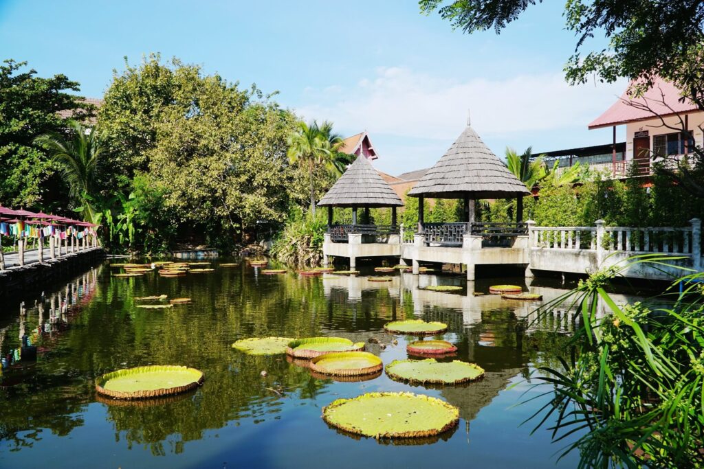 Buddhist Monastery、Chet Lin Temple、ChiangMai、King Lotus Leaves ประเทศไทย、Monk、วัดเจ็ดลิน、สะพานโต่วะ、เชียงใหม่、เมืองเก่าเชียงใหม่、佛寺、大王蓮葉 Thailand、杰林寺、泰北、泰國、清邁古城、清邁府、清邁門