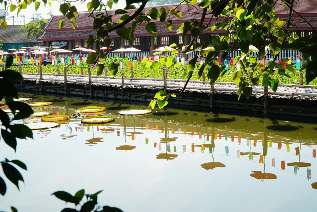 Buddhist Monastery、Chet Lin Temple、ChiangMai、King Lotus Leaves ประเทศไทย、Monk、วัดเจ็ดลิน、สะพานโต่วะ、เชียงใหม่、เมืองเก่าเชียงใหม่、佛寺、大王蓮葉 Thailand、杰林寺、泰北、泰國、清邁古城、清邁府、清邁門