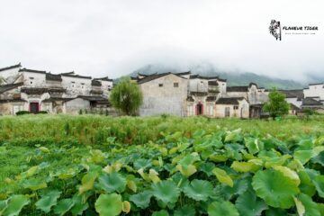 Huangshan_GuanLu_Village