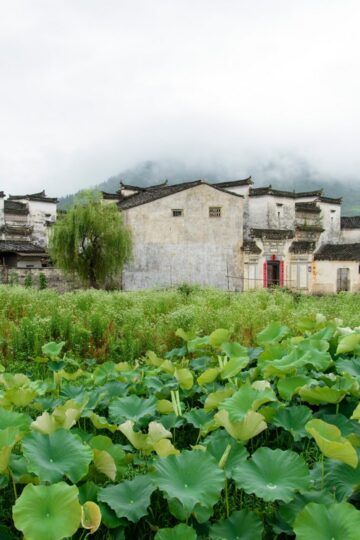 Huangshan_GuanLu_Village